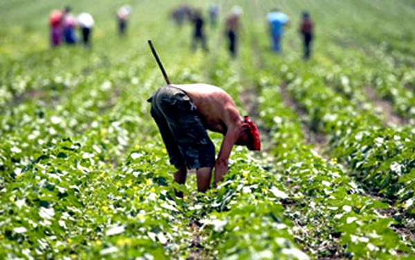 China's expansionist ambitions and global food