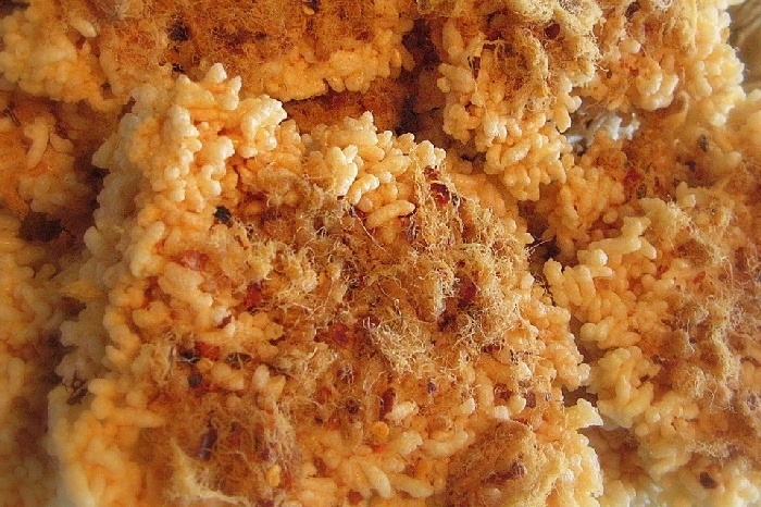 500g dried rice wrapped in cotton wool rub