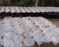 produce all kinds of cake for export