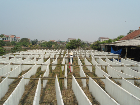 Dry noodles occupation in Nghia Giang