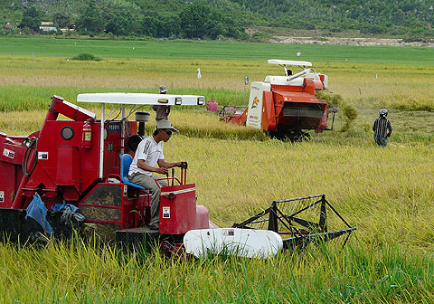 Agriculture Vietnam Economic Events Cooperatives - Agricultural Production salvage household?