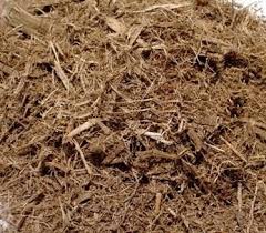 bagasse silage