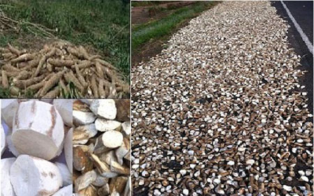 Synthesis sliced cassava market started the season 2013/2014
