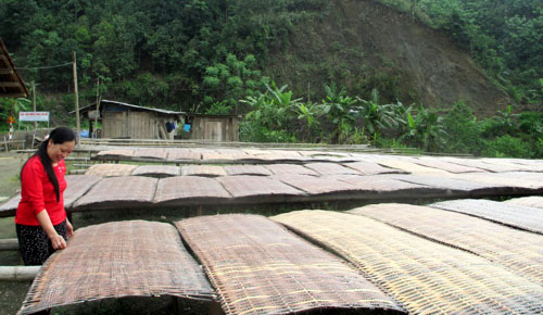 Establishments producing Eastern Trieu Thi Ta: initial success of processing methods of traditional crafts