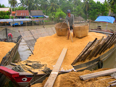 Many opportunities for exploiting the economic benefits from rice husk
