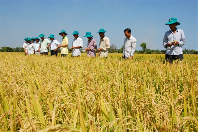 Choose any form of association?