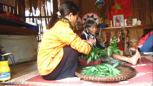Fried cassava leaves rustic