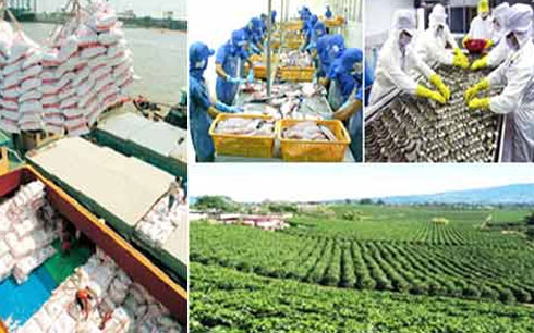Solution unfreeze agricultural markets, seafood Vietnam