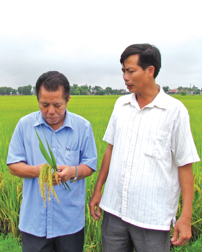 VTNN: Because agriculture sustainable development