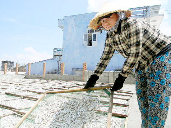 Anchovies village Mui Ne