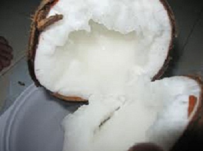 Rare coconuts, pricing hundred thousand dollars each result in Tra Vinh