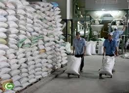 Thailand promoted many rice subsidy program