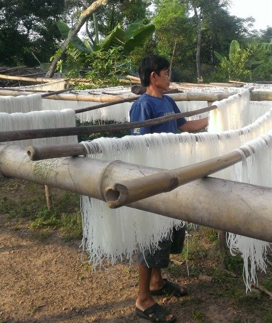 The US dry noodles - Choice fit