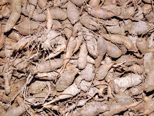 Sam uses of land and the great 