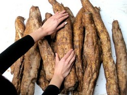 Kudzu Powder 100% pure, nutritious drink for the summer, sales warranty 