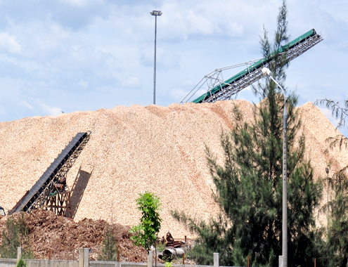 Export of wood chips, cassava starch significantly reduced price pressure for China 