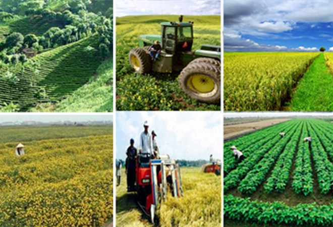 Credit policy for development of agriculture and rural development