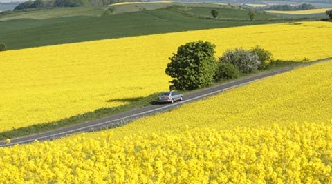 6 categories of biofuels best 