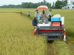 Remove difficulties exporting agricultural - forestry - fishery