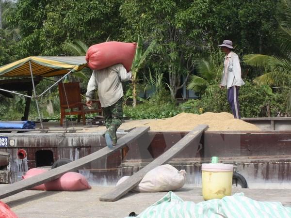 Basically completed indicators for the temporary storage of 1 million tons of rice 