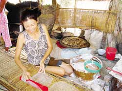 Trang Bang export rice paper