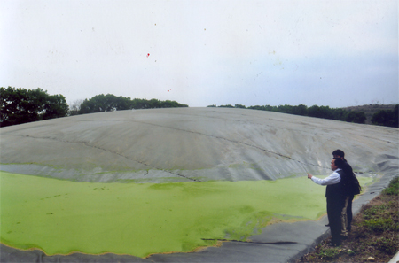 New opportunities for the cassava Van Yen