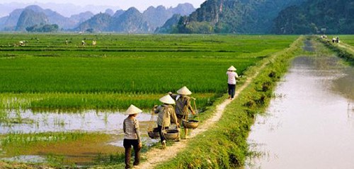 Comparative advantage for Vietnam's agriculture?
