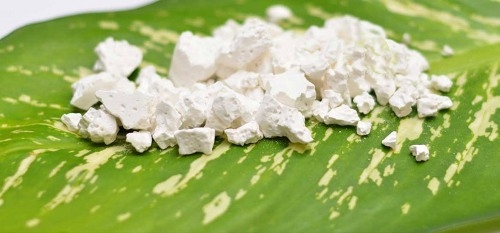 Discover beauty uses of cassava flour