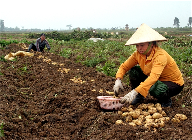 Links to - the science and technology