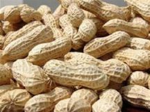 - Provides a large number of types of dry cassava, cassava Department, white cassava and cassava ..