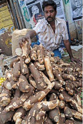 Collector warns sago units