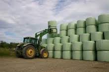 Corn silage