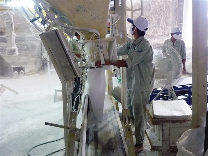 Many opportunities to export cassava Argentina