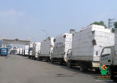 Agricultural exports to China or cargo only to Borders?