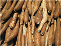 The situation of Vietnam's cassava exports to Australia