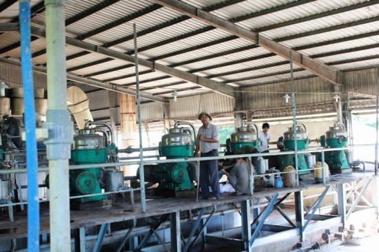 Dak Lak: Building 5 processing plant starch