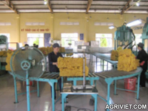 Rubber businesses struggling to find domestic sugar consumption