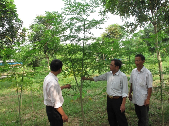 Taiyuan beam innocence on earth .